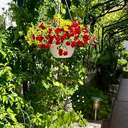 Apartmán Grguric *