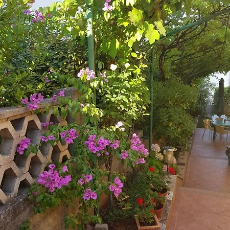 Apartment Grguric