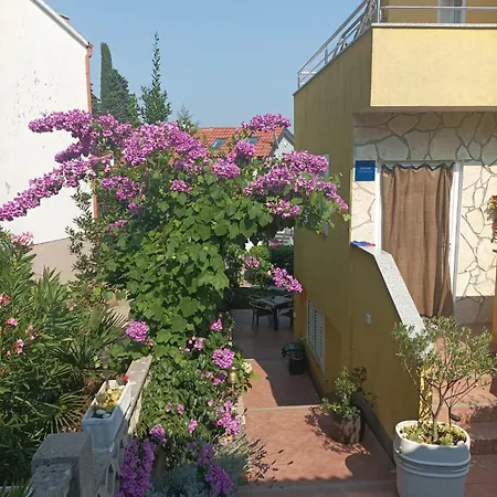 Apartment Grguric *