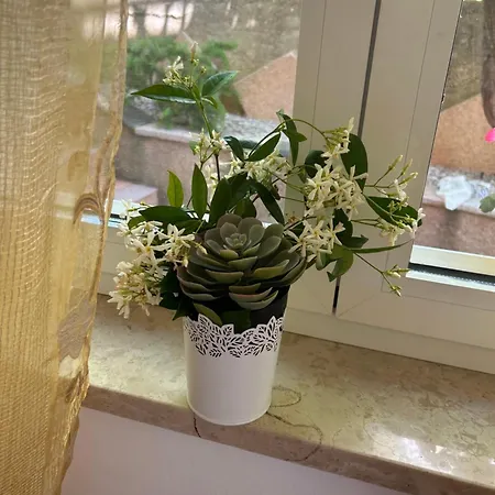 Apartment Grguric *